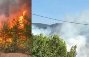 Gümüşhaneliler Geyve’de Alevlerle Mücadele Ediyor: “Bu Topraklar Hepimizin”