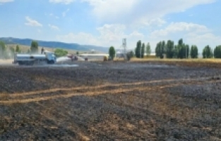 Kelkit'te Arpa Tarlasında Yangın Paniği: 5 Dönüm Alan Kül Oldu