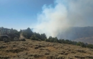 Gümüşhane’de çobanın yaktığı ateş yangına sebep oldu