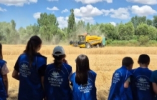 Kelkit Vadisinde gönüllü hasat etkinliği