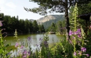 Tropikal sıcaklardan bunalanlar soluğu Limni Gölü’nde aldı