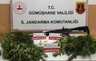 Gümüşhane’de kaçak alkol, kenevir ve ruhsatsız silah ele geçirildi