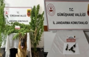 Gümüşhane’de Jandarmadan uyuşturucu operasyonu: 2 gözaltı