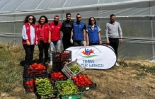 Gümüşhane’de seralarda Gönüllü Hasat yapıldı