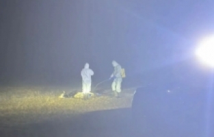 Kürtün'de 5 köy karantinaya alındı