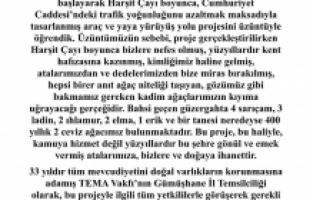 Harşit Çayı Projesine TEMA’dan Sert Tepki: “Doğaya İhanet Etmeden Gelişmek Mümkün”