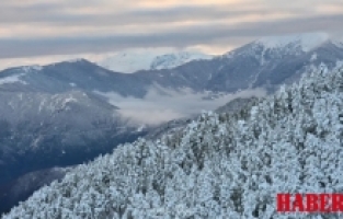 Kayak için kar yetmedi ama 'kar hasreti' yetti
