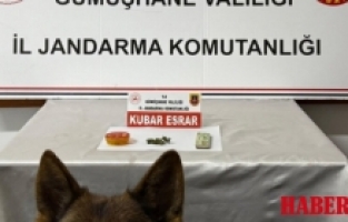 Kocaeli’den Gümüşhane’ye uzanan zehir hattı Jandarma’ya takıldı