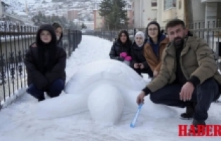 Gümüşhane'de "kardan kaplumbağa" ilgi odağı oldu