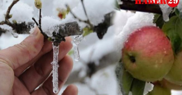 Tarsim Tarafından 2022’de Teminat Altına Alınacak Riskler Belirlendi