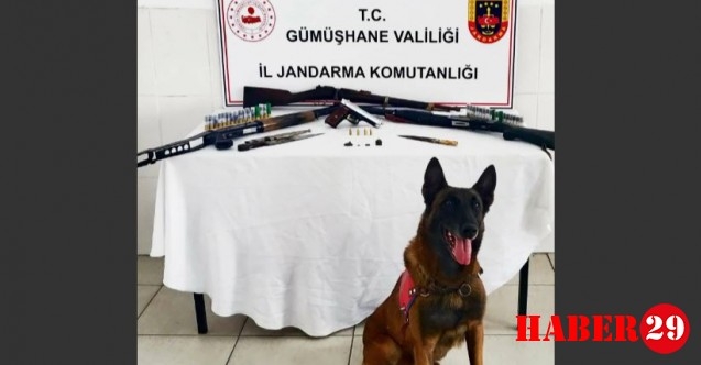 Torul'da El Yapımı Silah Operasyonu