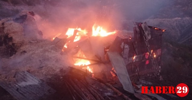 Torul'da ahır yangını: 9 büyükbaş hayvan telef oldu