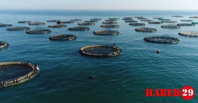 Gümüşhane Bölgede Beşinci Oldu!