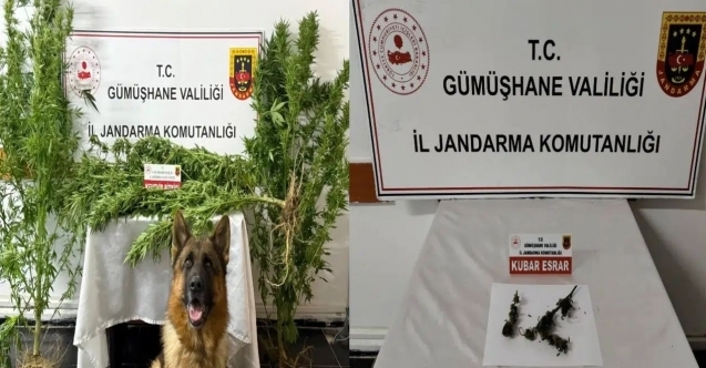 Gümüşhane’de Jandarmadan uyuşturucu operasyonu: 2 gözaltı