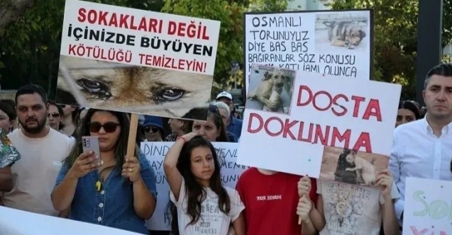 Hayvanseverlerden Gümüşhane’de Adalet ve Vicdan Çağrısı