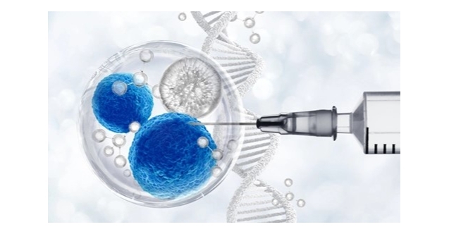 Kök Hücre Tedavisi: Gerçekçi, Anlaşılır ve Günlük Hayata Dokunan Rehber