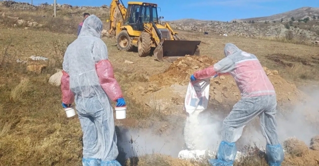Kürtün’de 6 köye hayvan giriş çıkışı yasaklandı