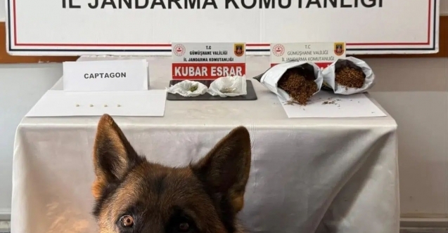 Jandarma affetmedi: Gümüşhane'de zehir tacirlerine suçüstü