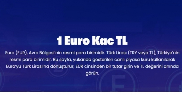 Online Alışverişte Euro Kuru Fiyatları Nasıl Etkiliyor?