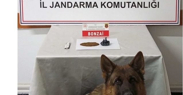 Gümüşhane’de Uyuşturucu Operasyonu: 2 Şüpheli Hakkında Adli Tahkikat Başlatıldı