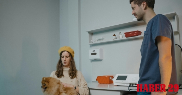 Kadıköy En İyi Veteriner Hangisi? İşte GomVet’i Farklı Kılan Detaylar