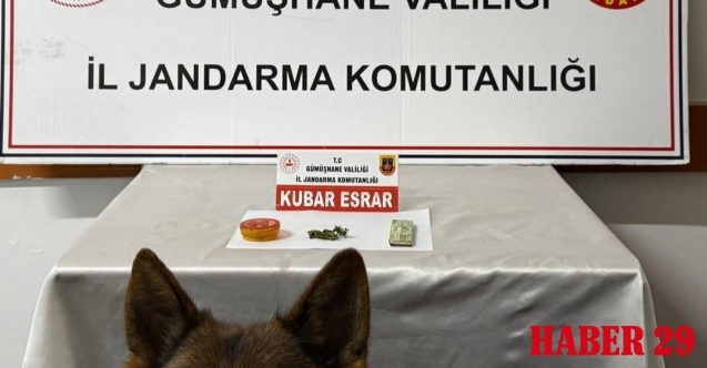 Kocaeli’den Gümüşhane’ye uzanan zehir hattı Jandarma’ya takıldı