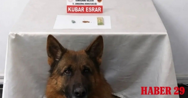 Jandarma ekipleri zehir tacirlerine geçit vermiyor