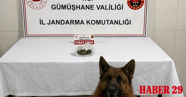 Gümüşhane Jandarmasından Zehir Tacirlerine Geçit Yok: Yol Kontrolünde Yakalandı!