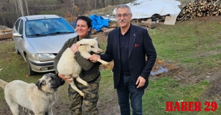 Çiftçinin Kurtuluş Reçetesi: Modern Kooperatifçilik