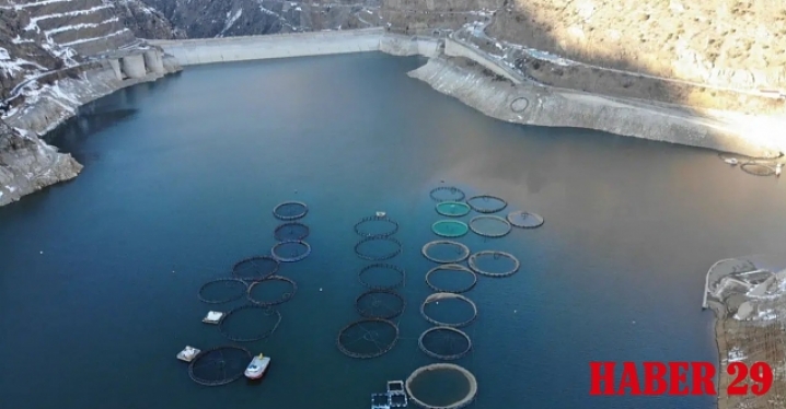 Denizi Yok Ama Dünyayı Besliyor: Gümüşhane’de Alabalık Üretimi 2 Bin Tona Ulaştı