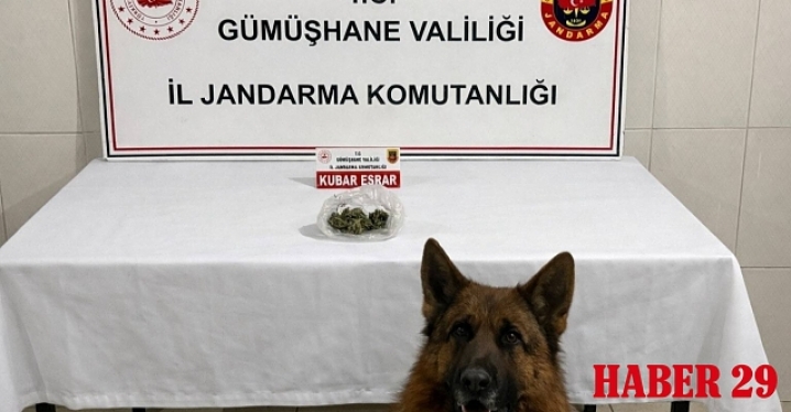 Gümüşhane Jandarmasından Zehir Tacirlerine Geçit Yok: Yol Kontrolünde Yakalandı!